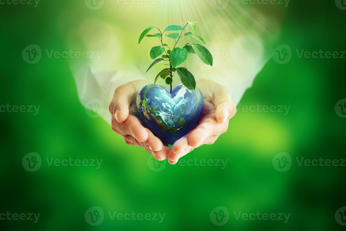 mänskliga händer som håller klotbollen och trädet på suddig grön bokeh-bakgrund och kort för World Earth Day, räddar miljön, skyddar den rena planeten och säker ekologi foto