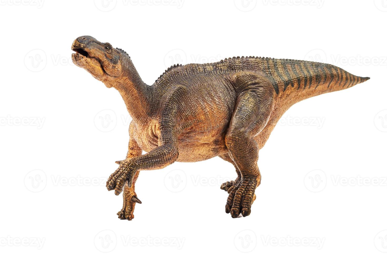 iguanodon, dinosaurie på vit bakgrund foto