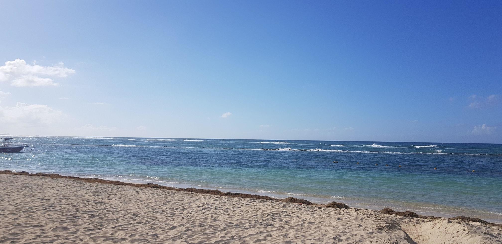 paradis dominicana, karibiska havet, natur, palmer, strand, sol och sand foto