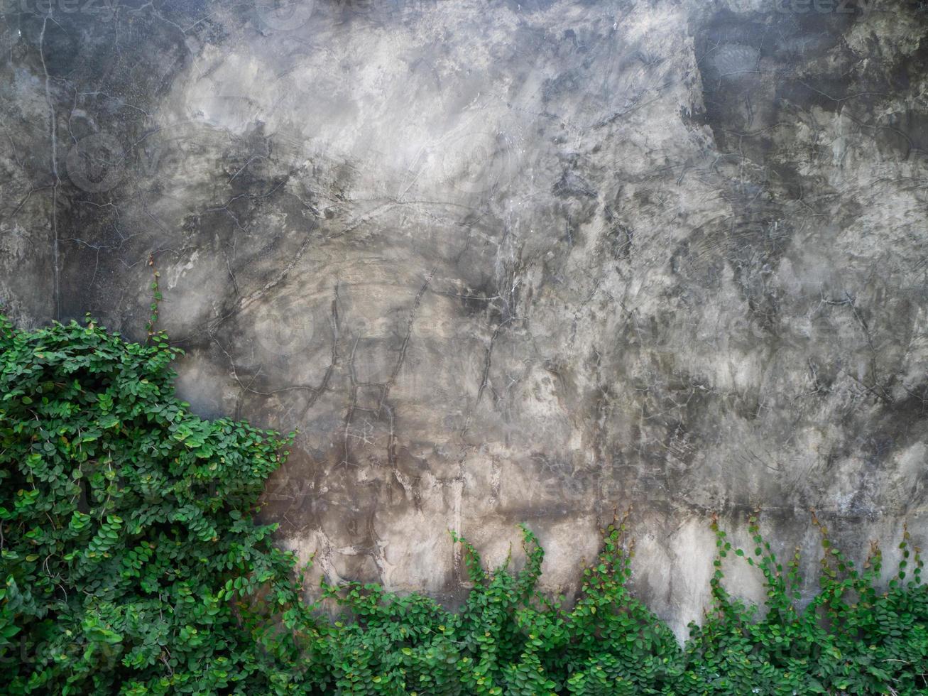 mur och natur foto