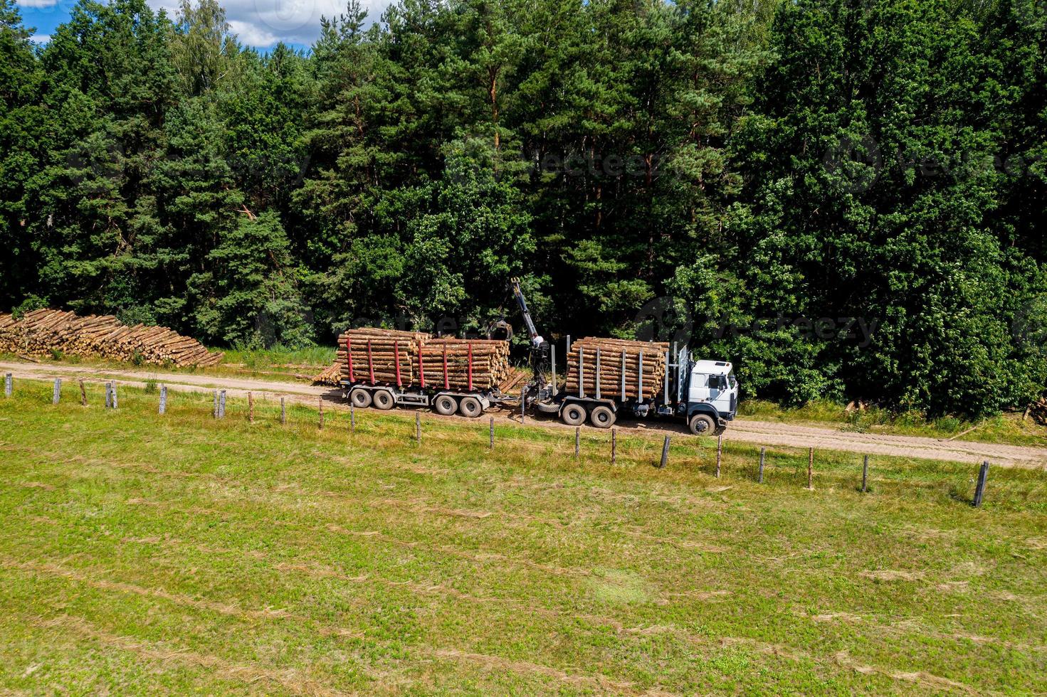 avskogning och avverkning ovanifrån. lastbilar tar bort stockar. skogsindustri. foto