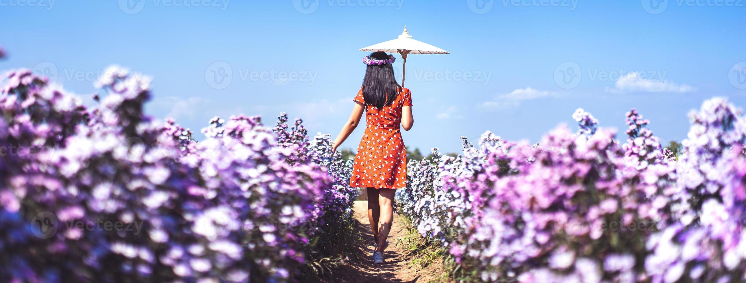 resa vuxen kvinna promenader koppla av i margaret blomma fält. foto
