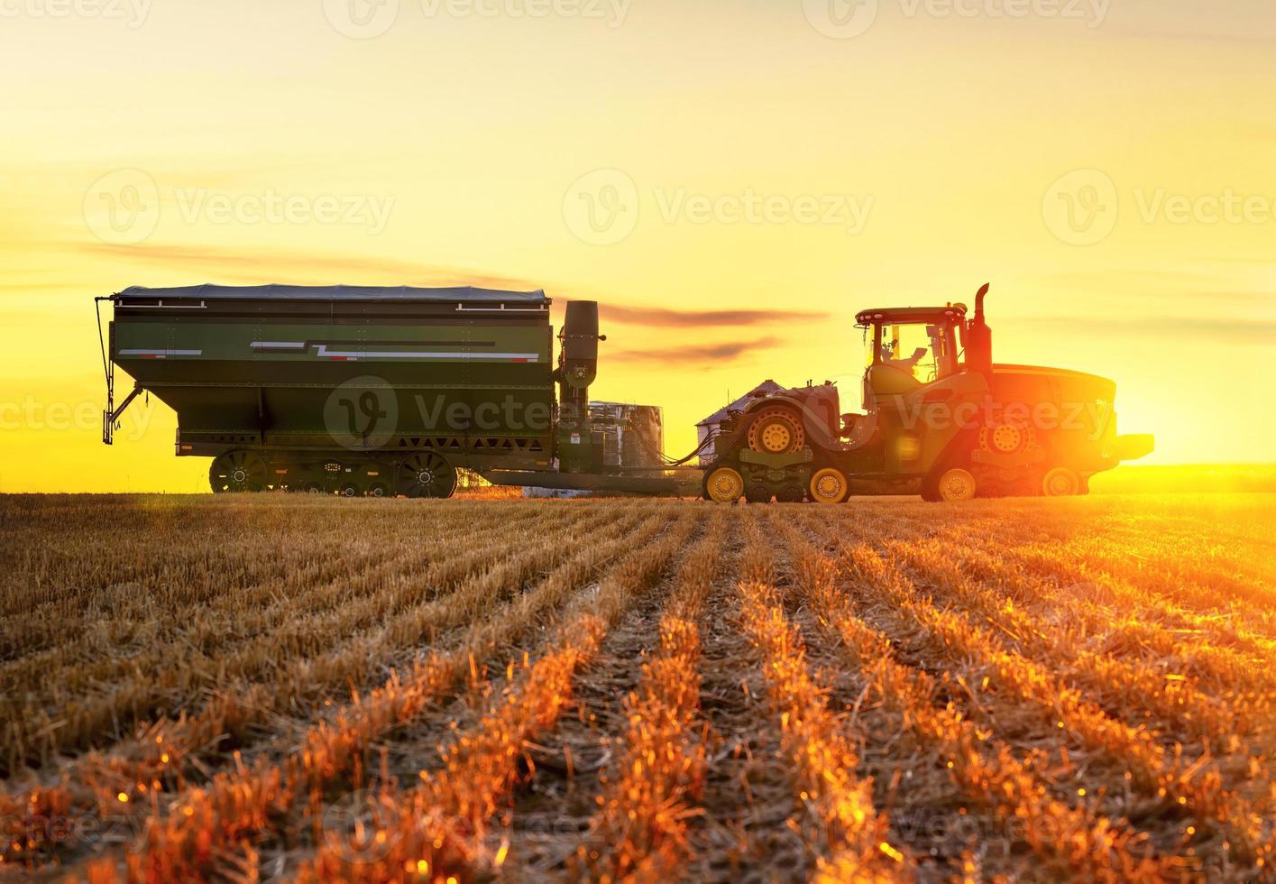 traktor med spannmålsvagnen. jordbruksindustrin. skörda. foto