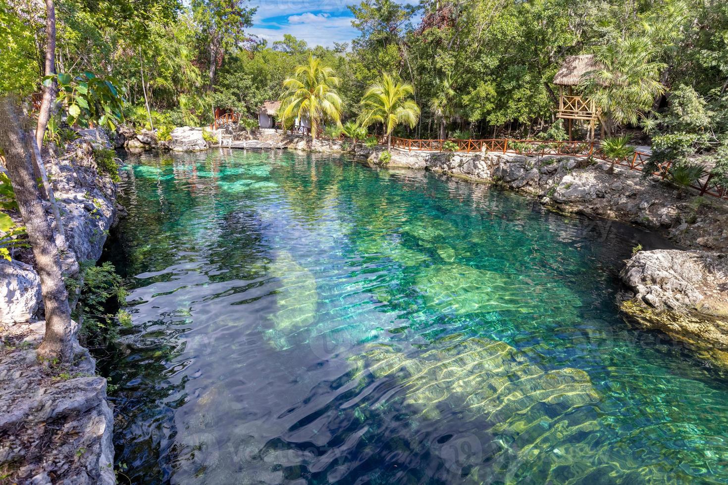 Mexiko turistmål, grottor och pooler i cenote casa tortuga nära tulum och playa del carmen foto