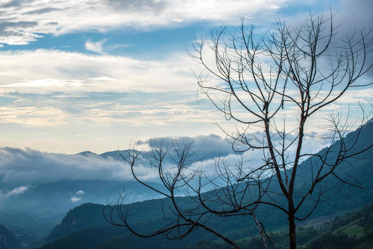 utsikt över lugn scen av höglandsbergen i chiang rai den norra delen av thailand under vintersäsongen. foto