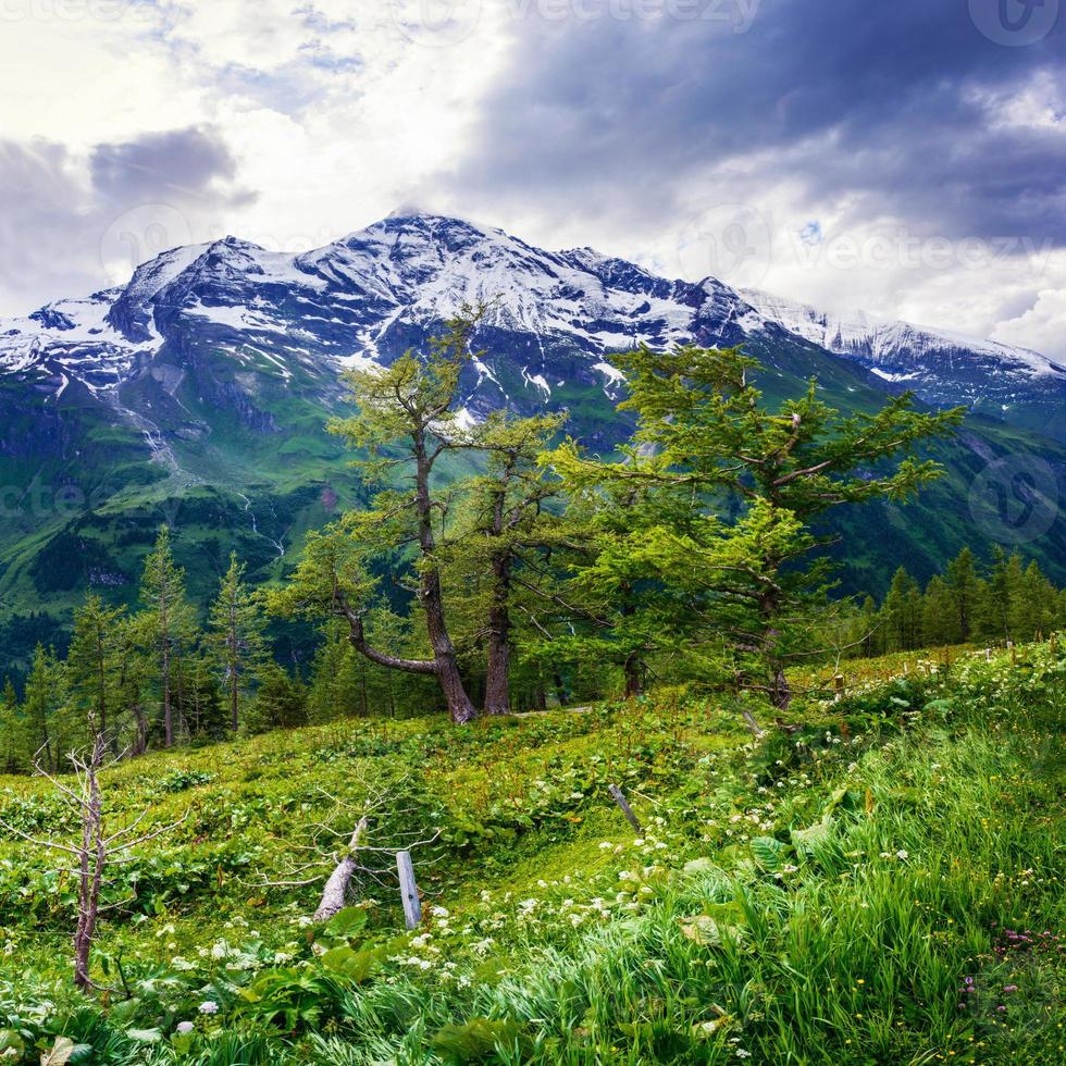 magnifik utsikt över alperna foto