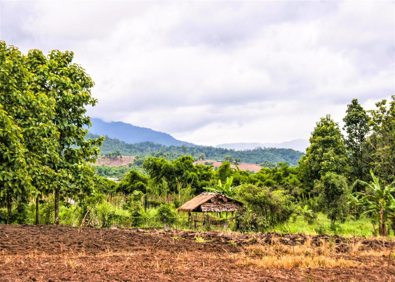 farm and home hill vacker natur i norra thailand foto