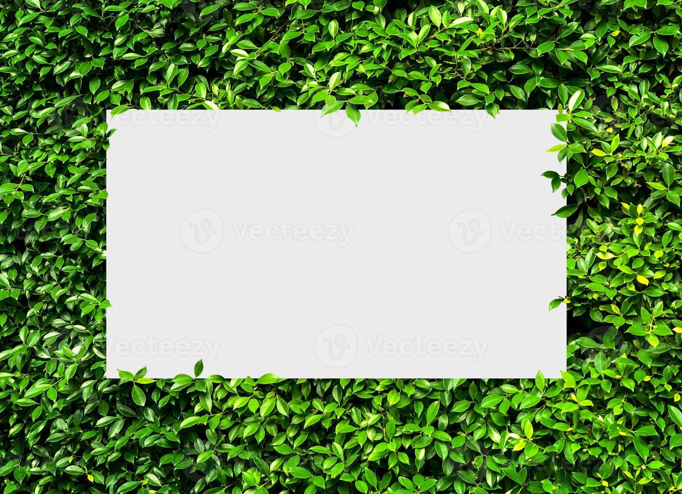 ovanifrån naturkoncept, pappersram layout anteckning, platt låg på gröna blad bakgrund foto