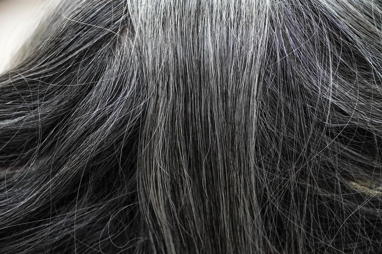 asiatiska äldre kvinnor grått hår vacker färg foto