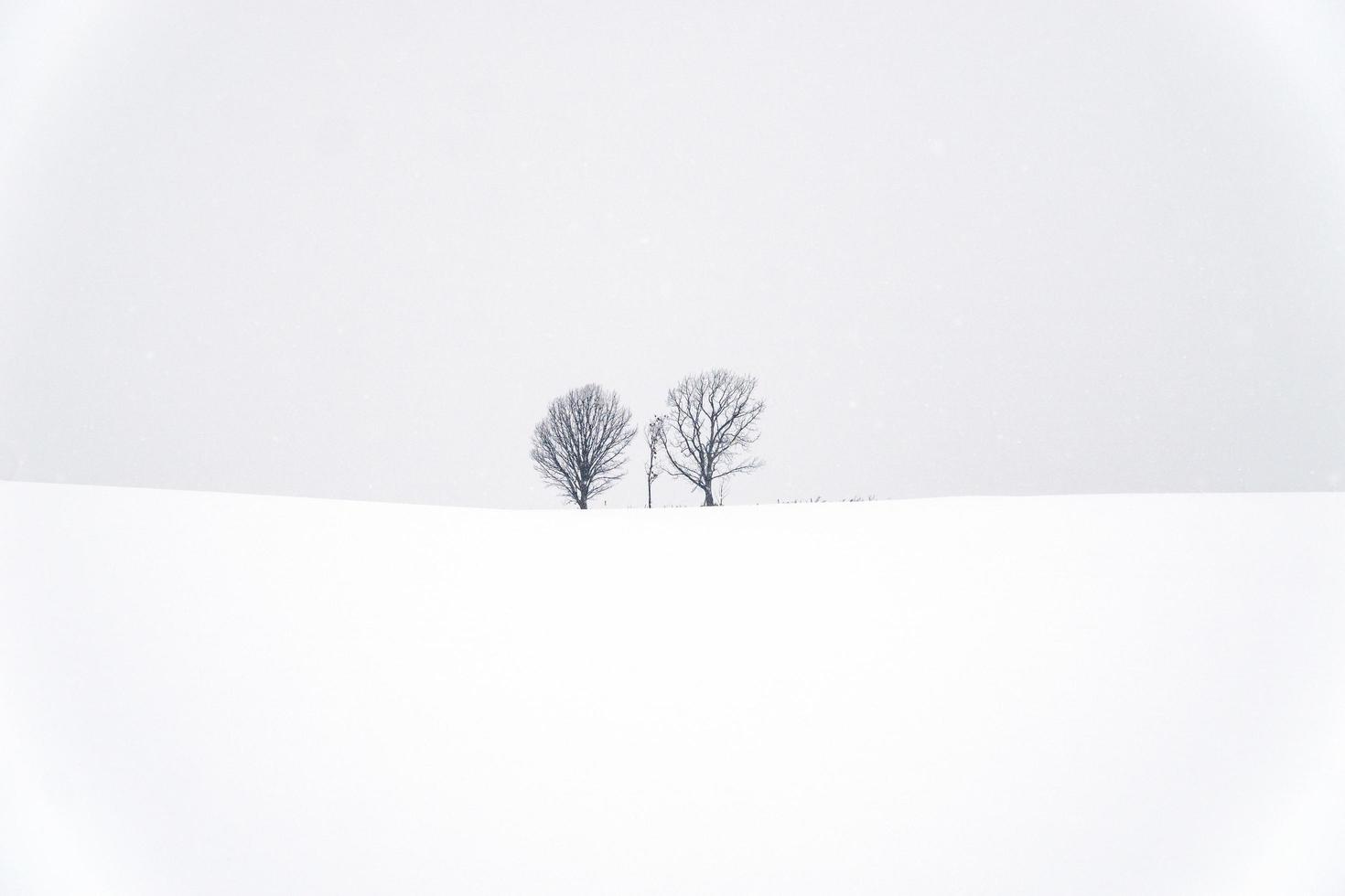 förälder och barn träd bland snöfall foto