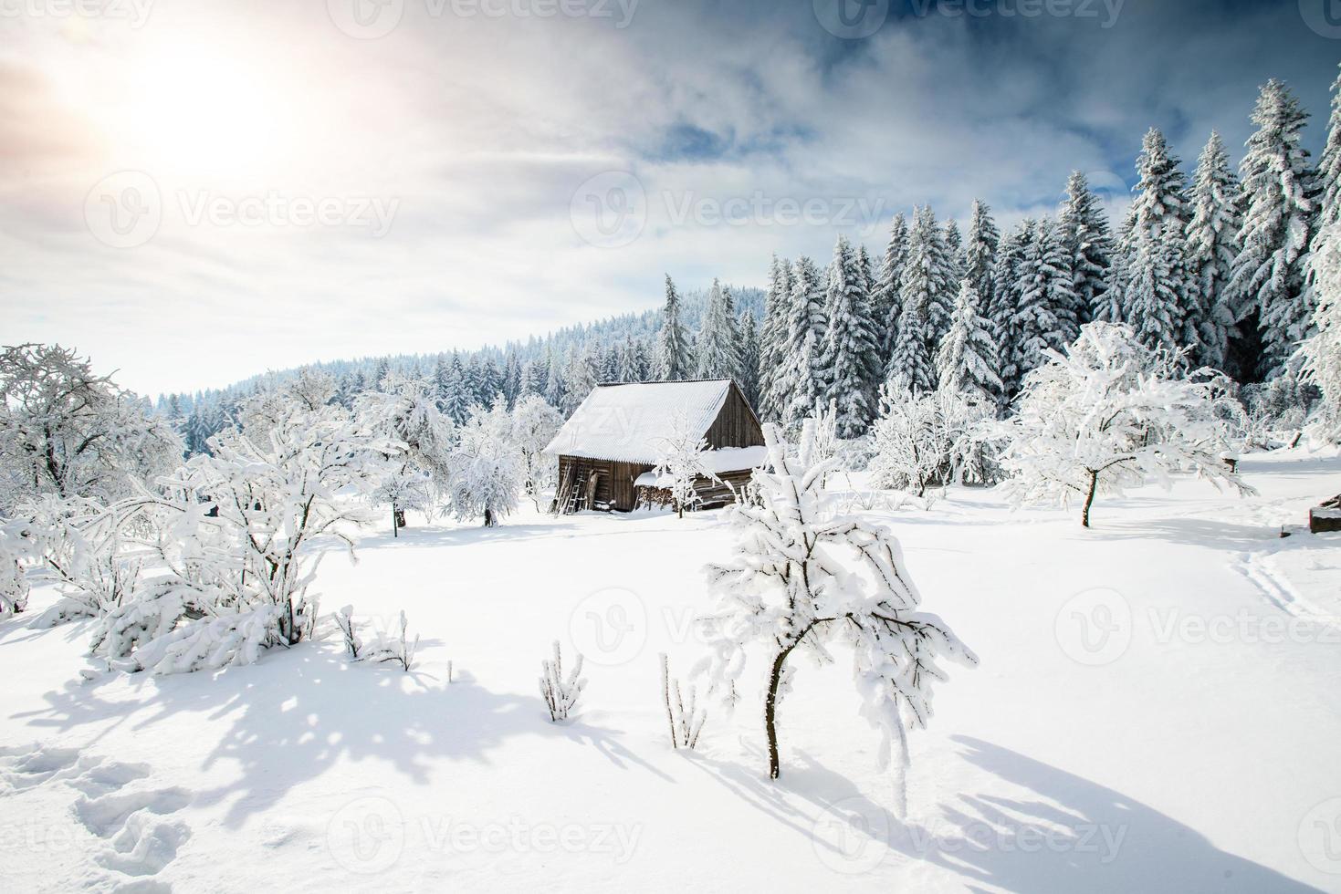 vackert trähus på en vinter foto