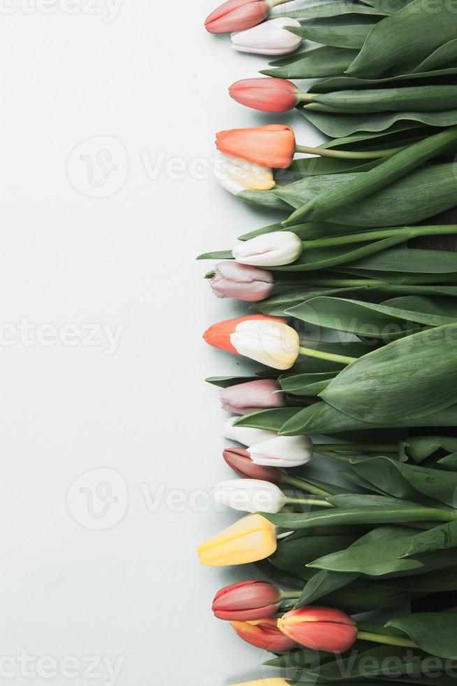 banner med bukett tulpaner i rosa och vita färger. begreppet vår, kvinnodagen, mors dag, 8 mars, semesterhälsningar foto