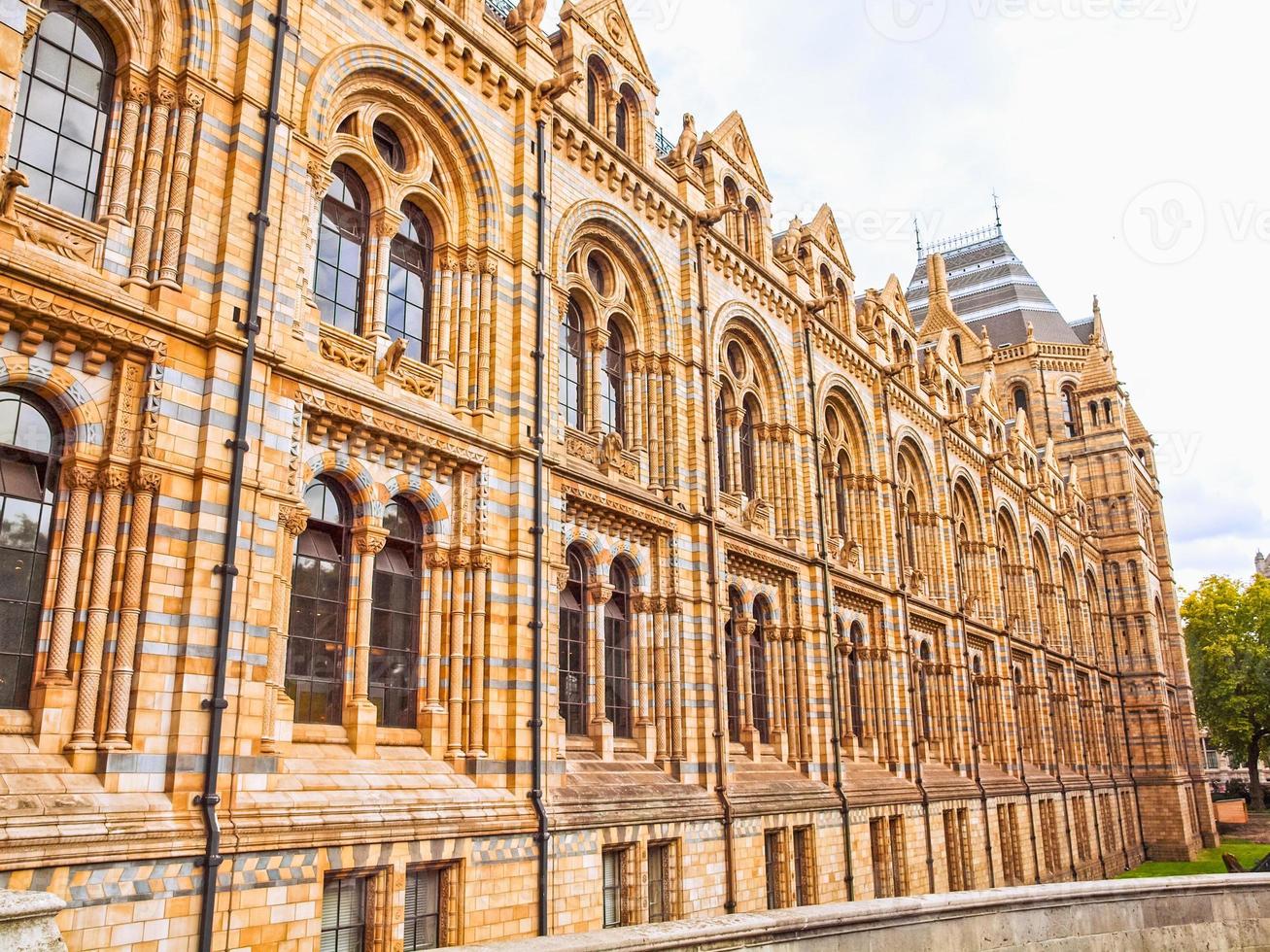 hdr naturhistoriska museum, london, uk foto