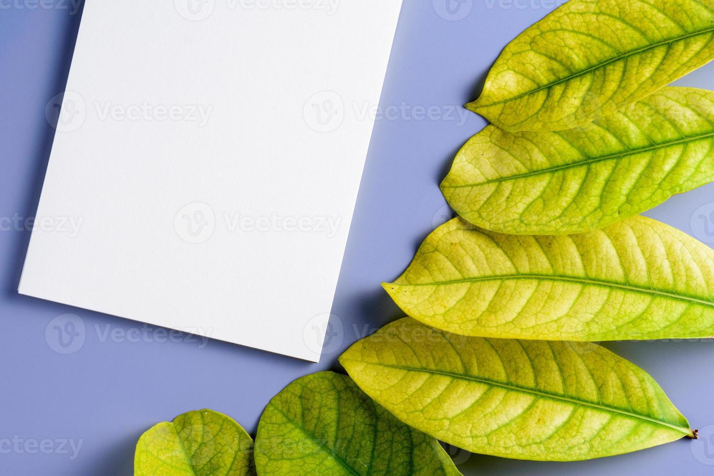 gula blad kaskad och lappen på bordet foto