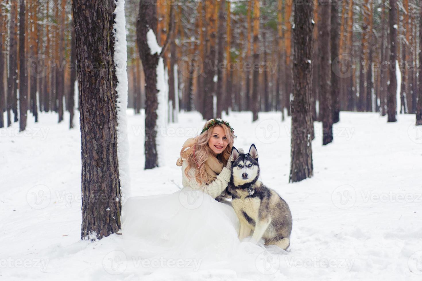 glada nygifta par går på stigen i den snöiga skogen med två sibiriska hundar. vinterbröllop. konstverk. kopieringsutrymme foto