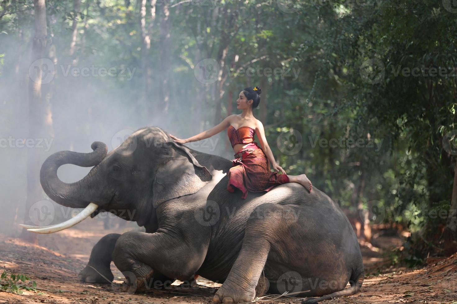 elefant med vacker flicka på asiatisk landsbygd, thailand - thailändsk elefant och vacker kvinna med traditionell klänning i surin-regionen foto