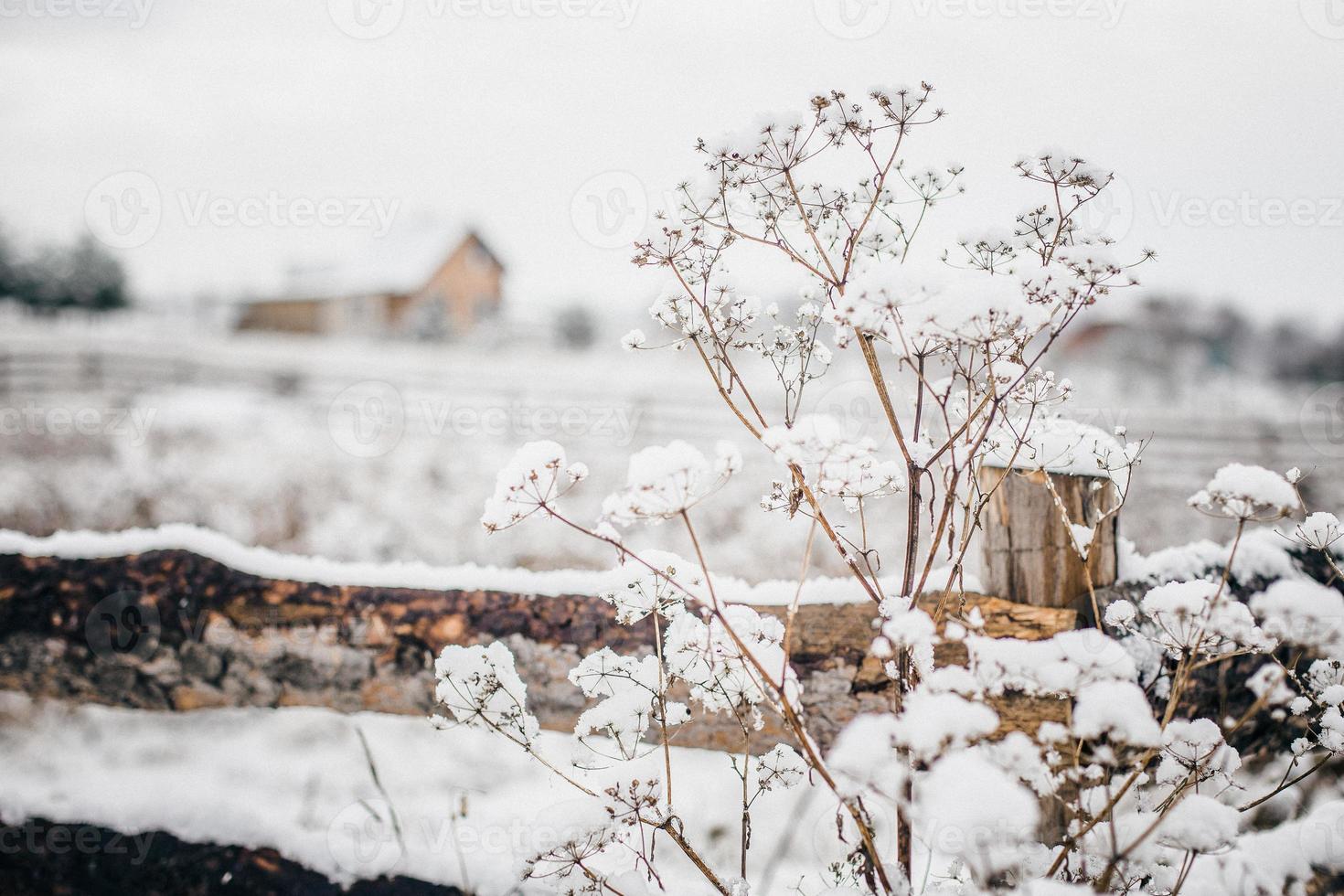 vintern i en by foto