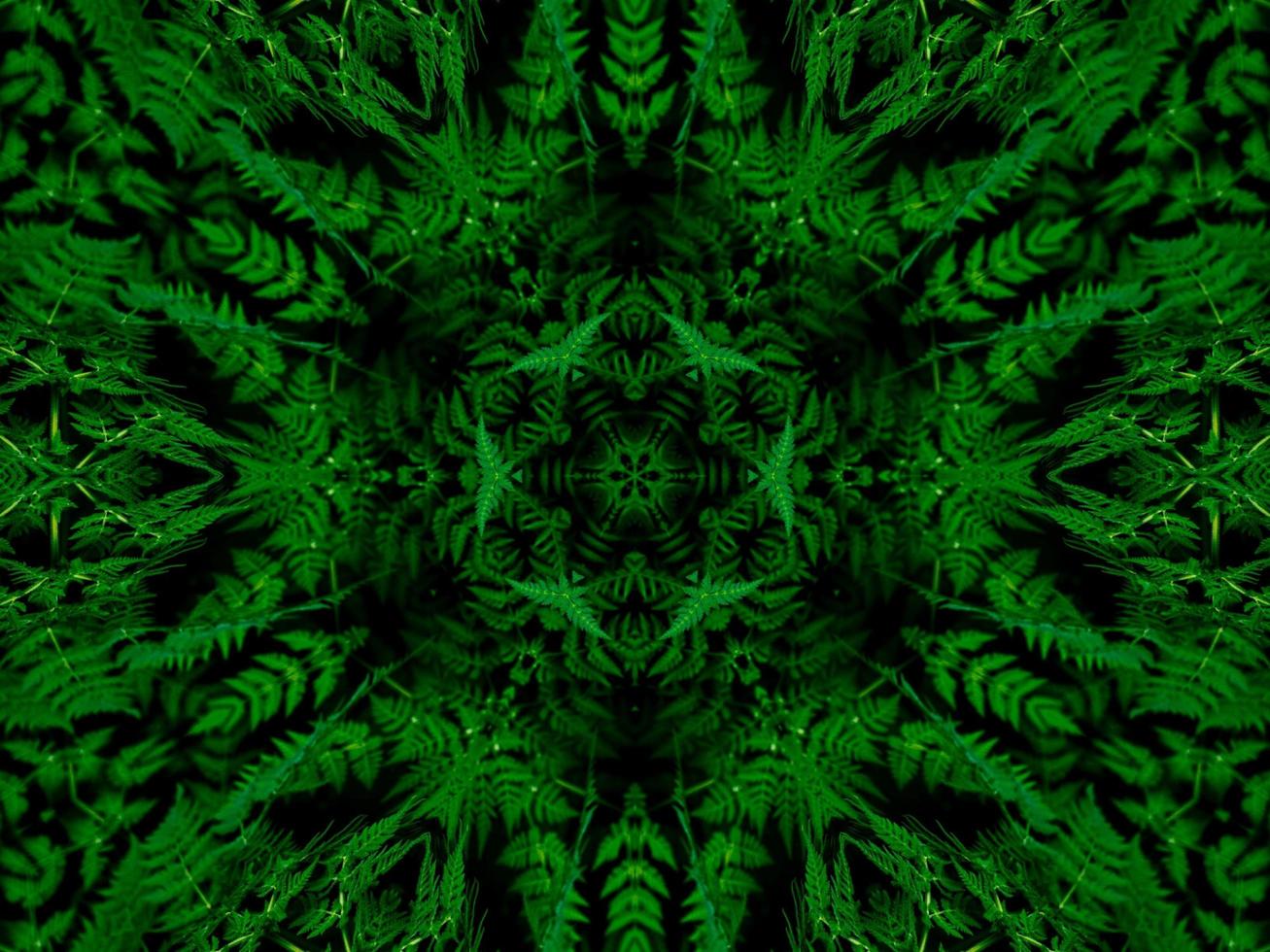 reflektion av blad abstrakt bakgrund. grönt kalejdoskop mönster. gratis foto. foto