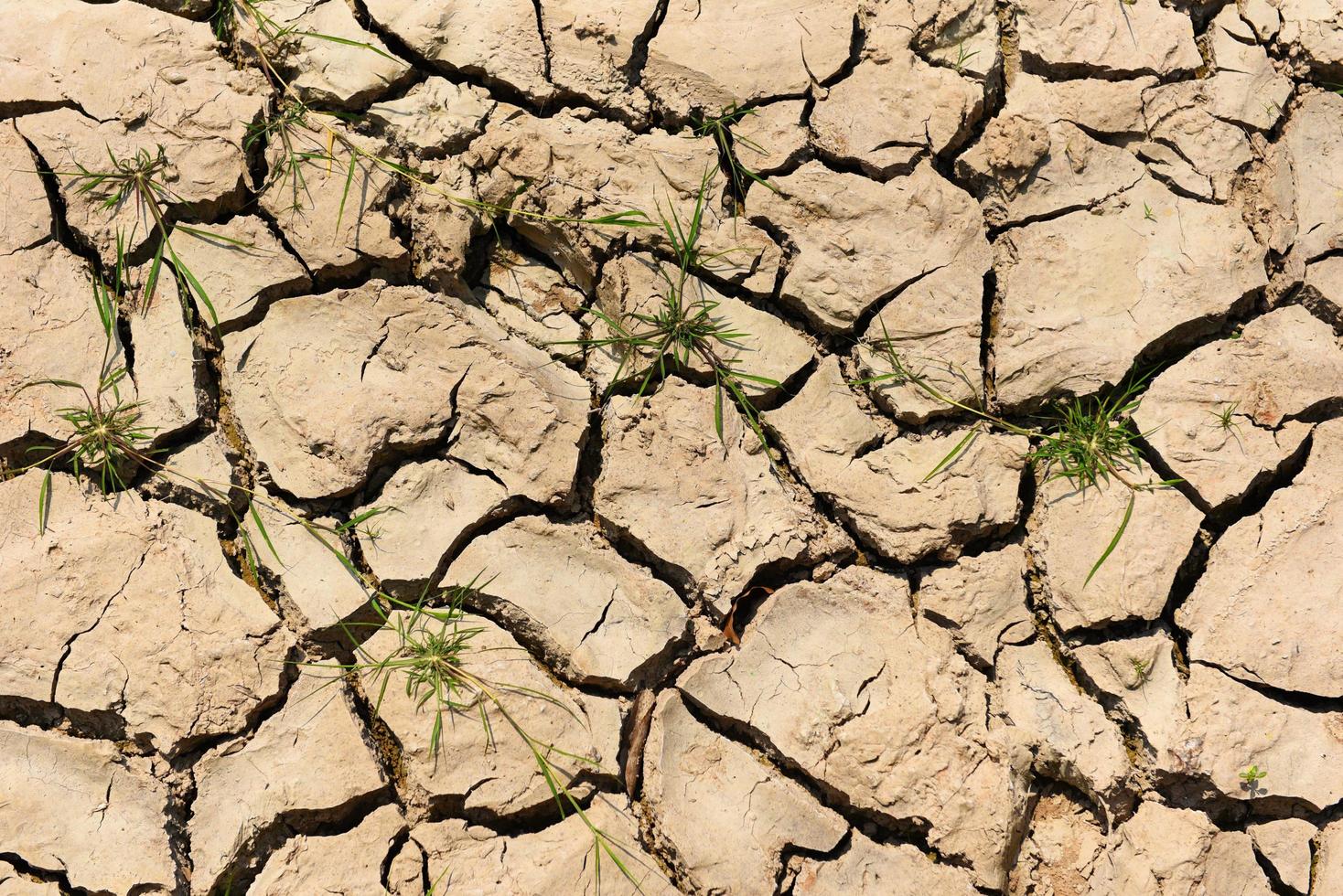 global uppvärmning koncept, sprucken jord torr mark med torr och sprucken mark öken textur bakgrund foto