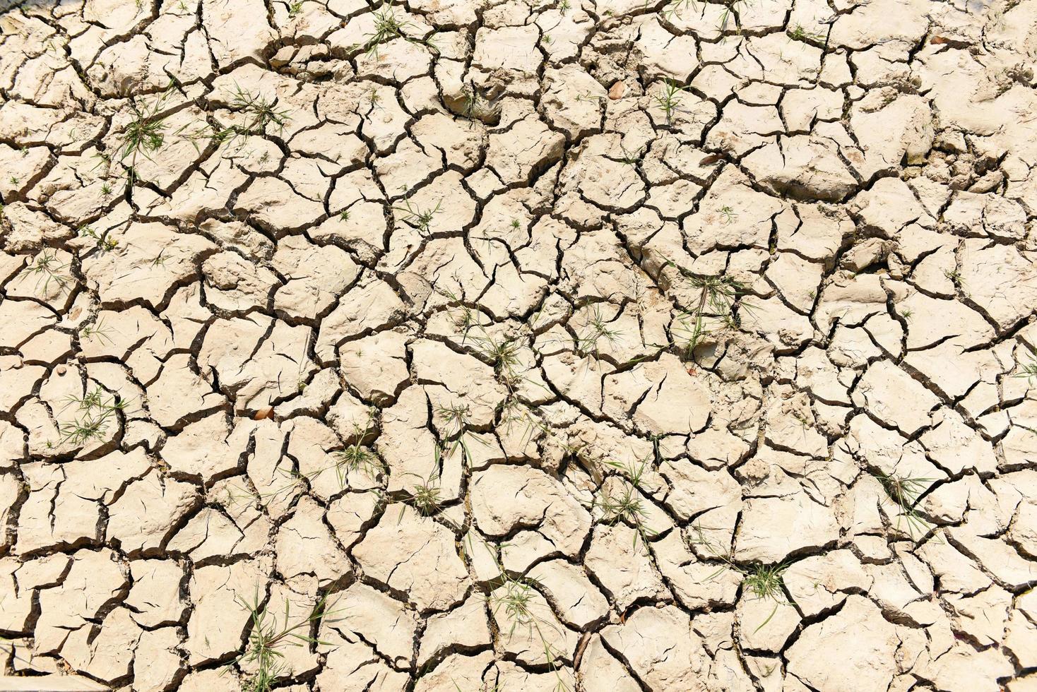 global uppvärmning koncept, sprucken jord torr mark med torr och sprucken mark öken textur bakgrund foto