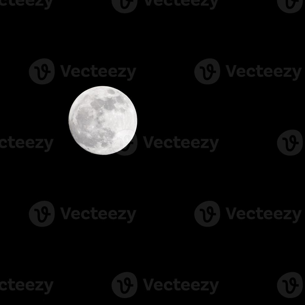 moon timelapse, stock time lapse fullmåneuppgång i mörk natur himmel, nattetid. fullmåneskiva time lapse med månen lyser upp i natten mörk svart himmel. högkvalitativa gratis videofilmer eller timelapse foto