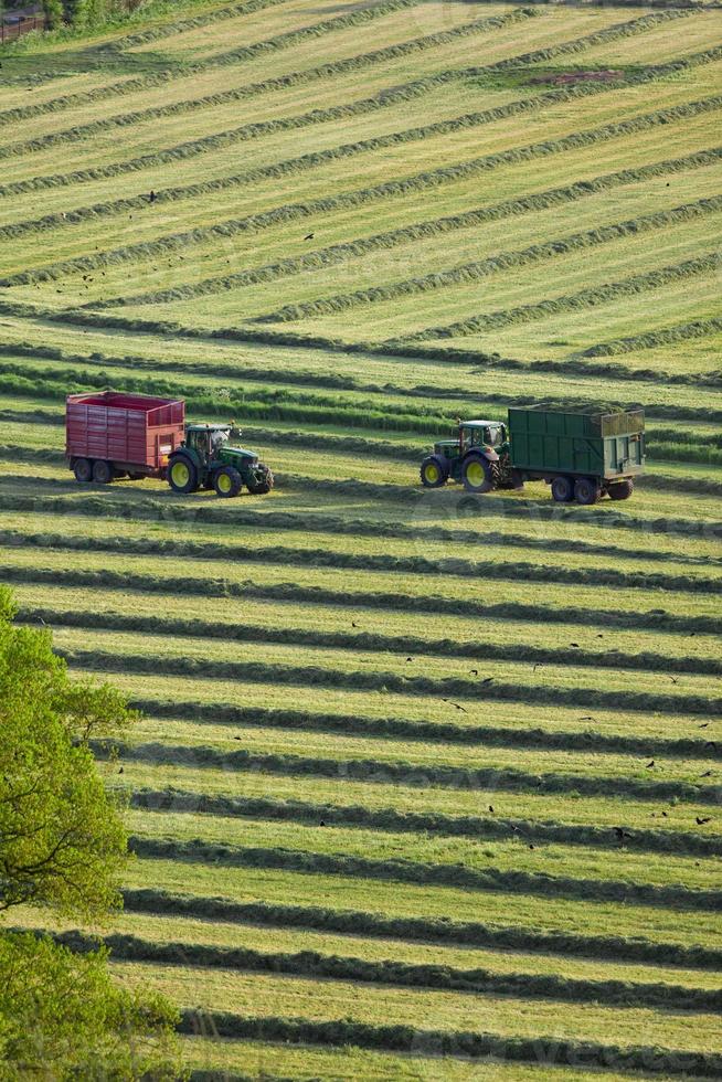 traktorer och släpvagnar som klipper ensilage i fält foto