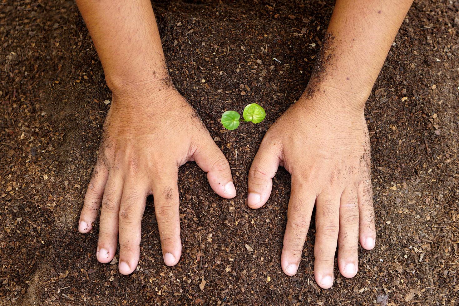 närbild hand av person som håller överflöd jord med ung växt i handen för jordbruk eller plantering persika natur koncept. foto