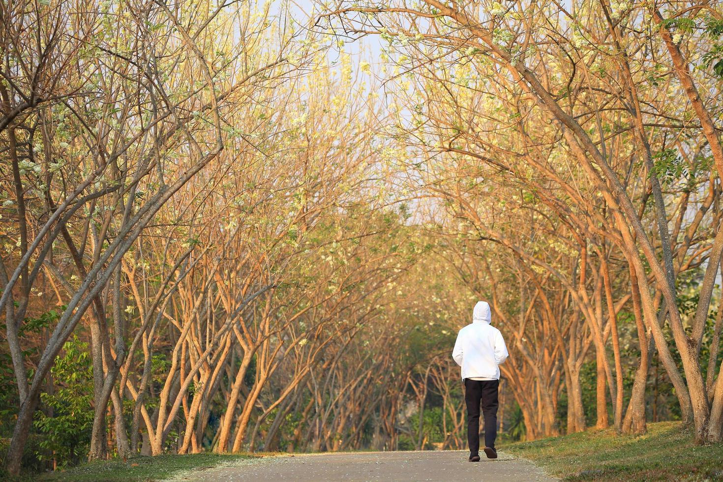 ung man joggar i parken på morgonen under vårsäsongen längs den vita blommans bågtunnel foto