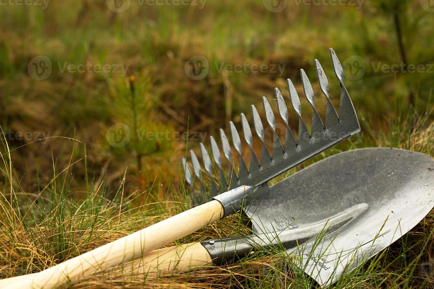 kratta och spade sätts in i marken för plantering på våren. våren, trädgårdsväxter, arbeta på en tomt, landskapsplanering, trädgårdsarbete, odling av blommor, fruktgrödor. kopieringsutrymme foto