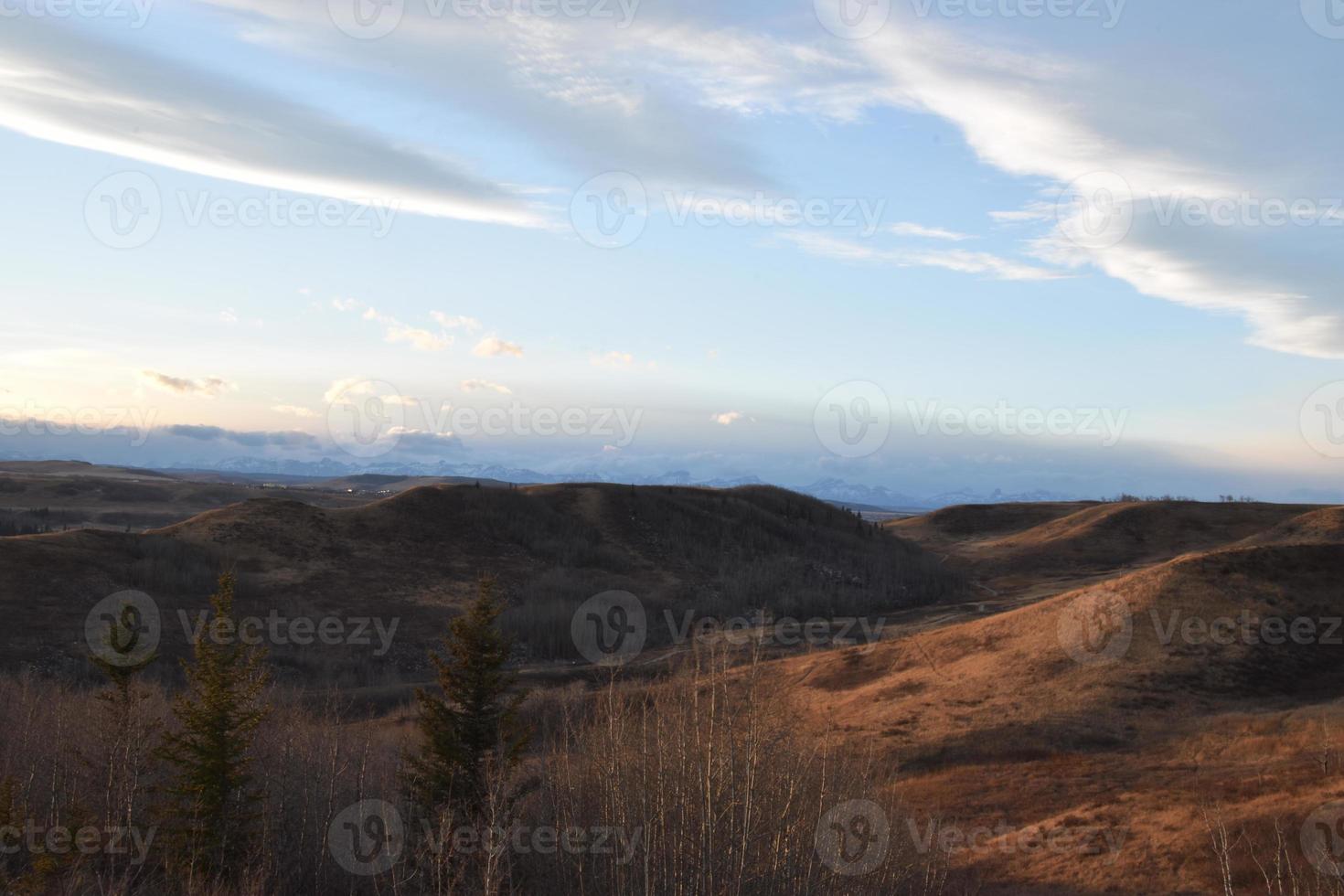 präriehimlen på vintern foto