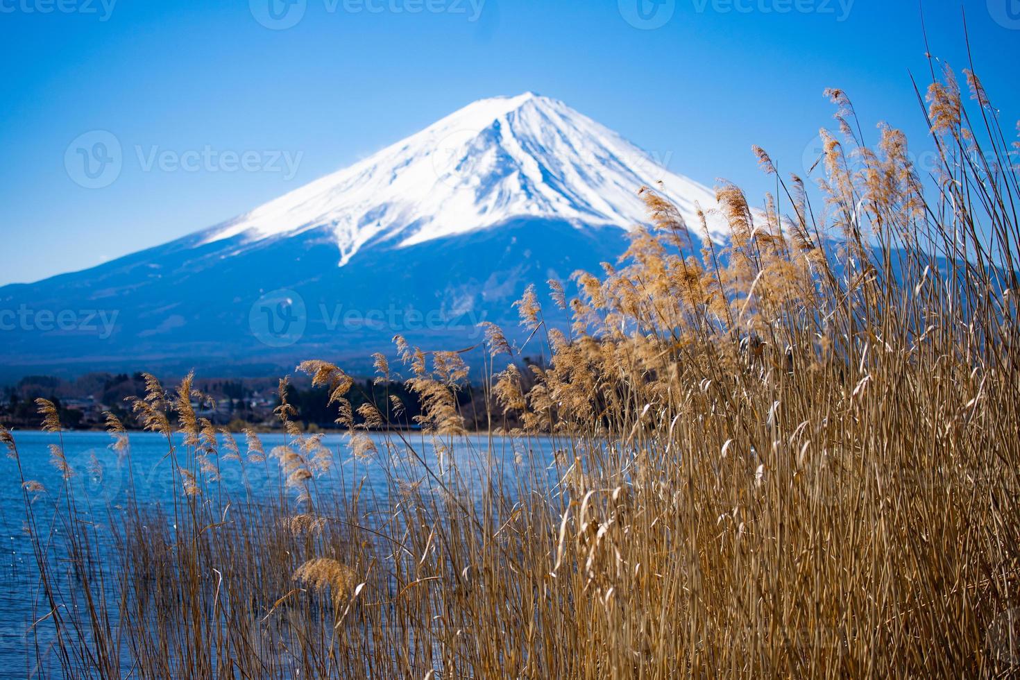 vackert landskap av Fujiberget och kawaguchisjön i april. japan. foto