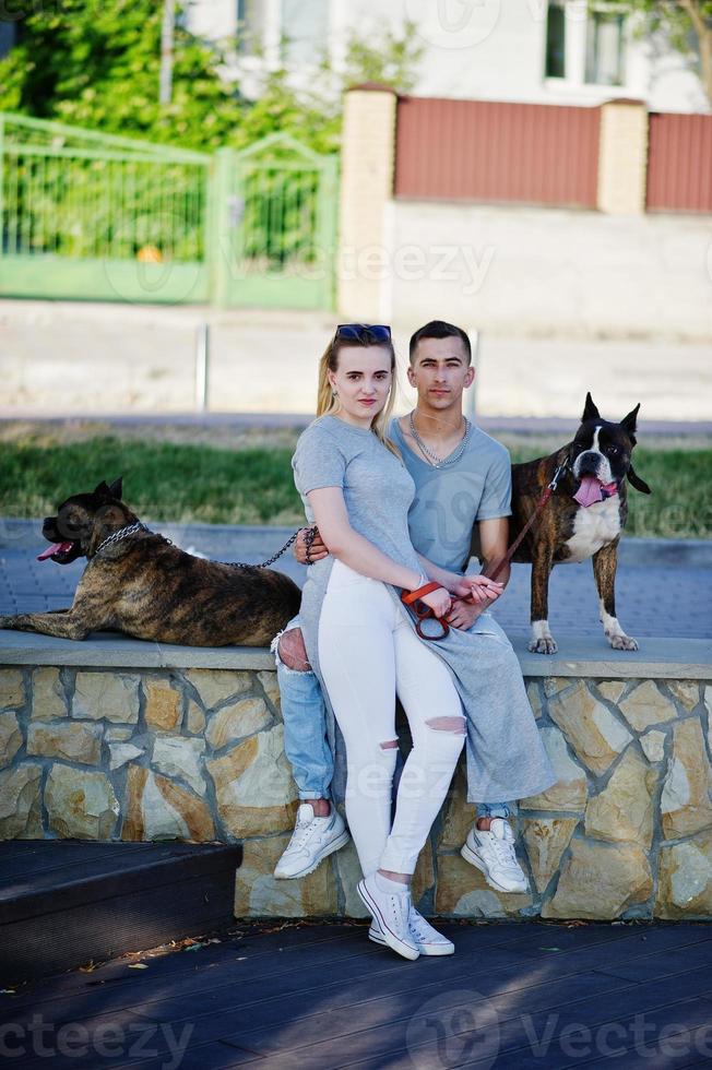 par i kärlek med två hundar pit bull terrier på en promenad. foto