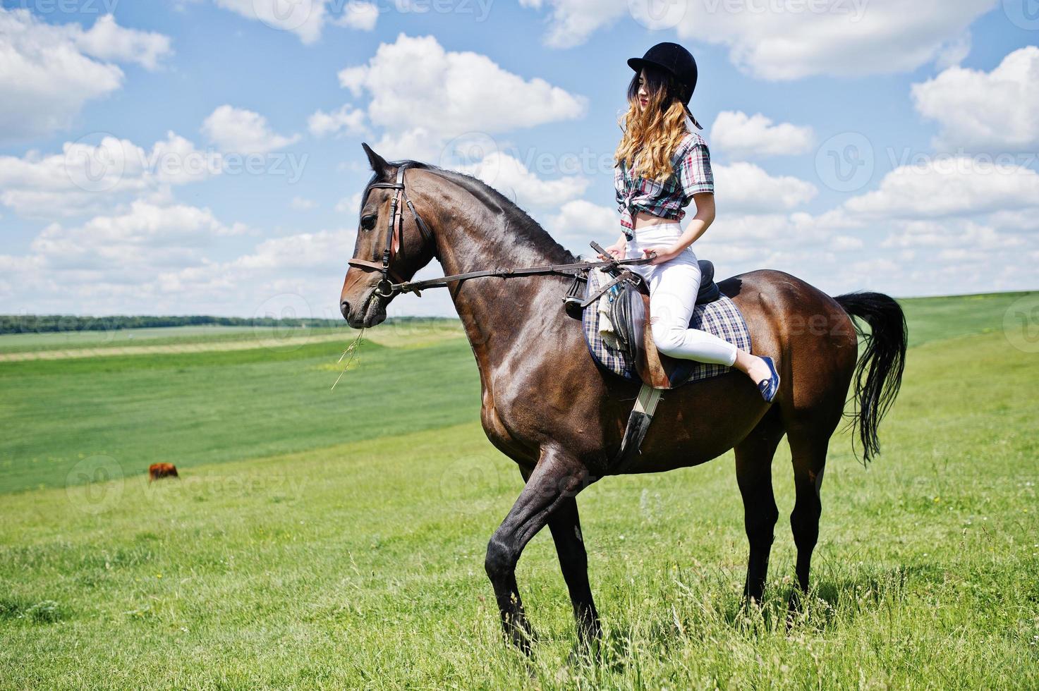 ung söt flicka rider en häst på ett fält på solig dag. foto