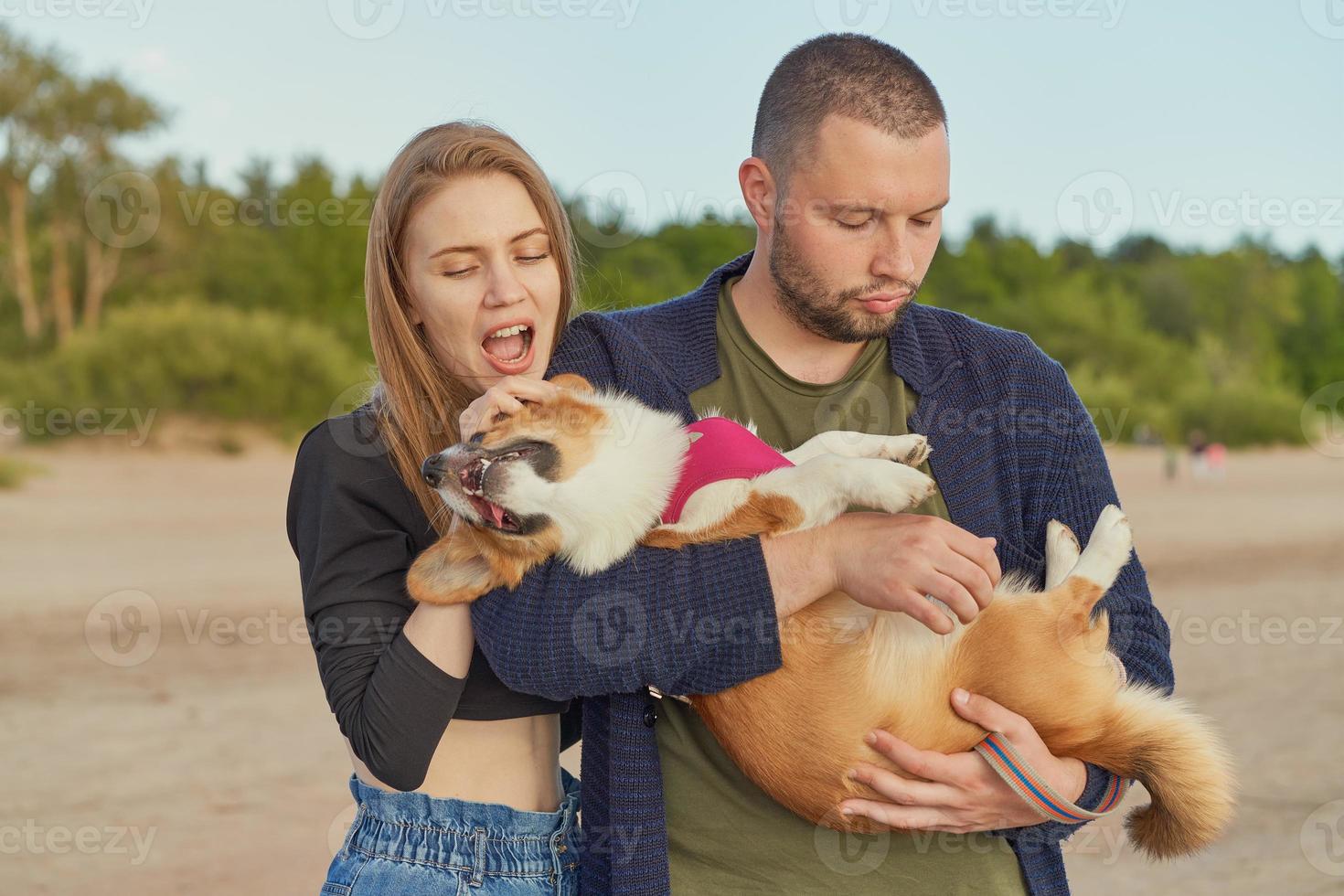 unga lyckliga par av man och kvinna med corgi hund, vackra kvinnliga bitande öron av valp foto