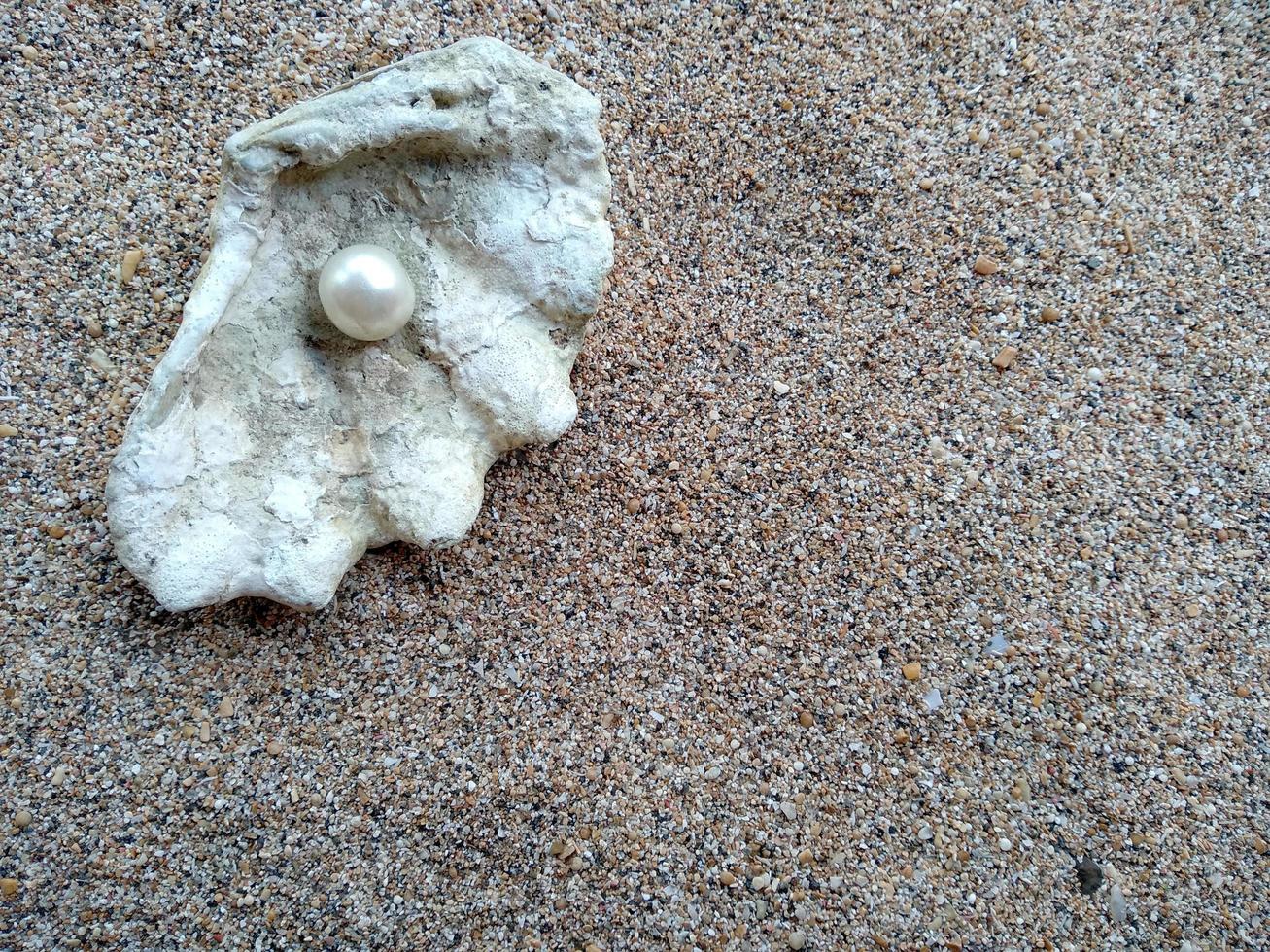 skal med en pärla på en strandsand foto