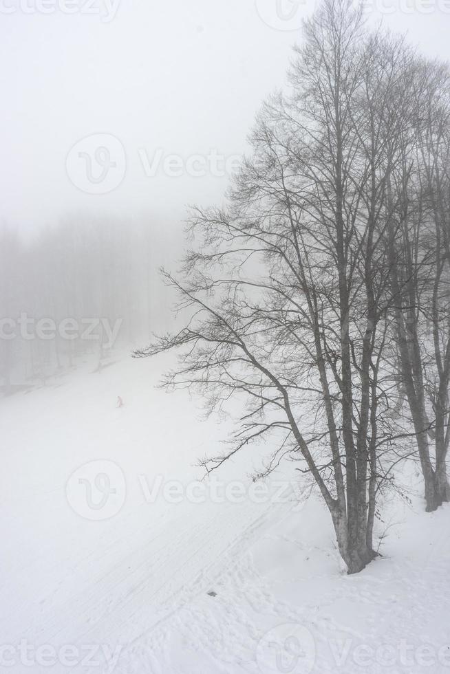 täckt med snö Kaukasus berg foto