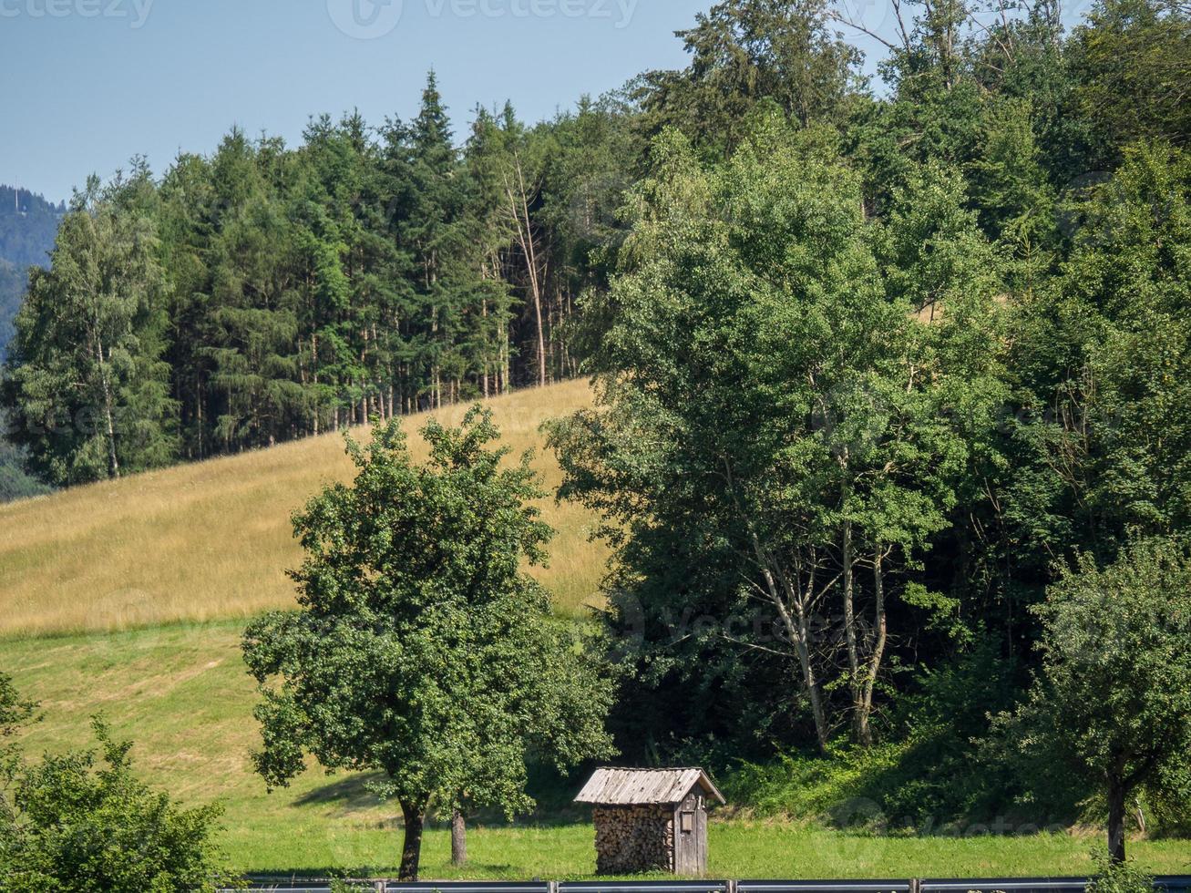 vid floden Donau i Österrike foto