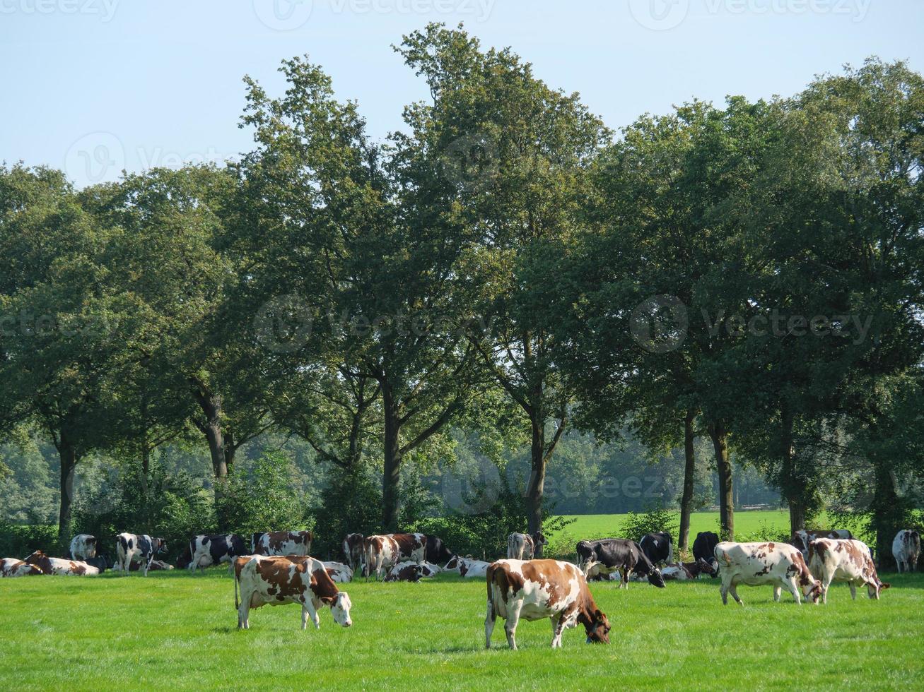 bredevoort i Nederländerna foto