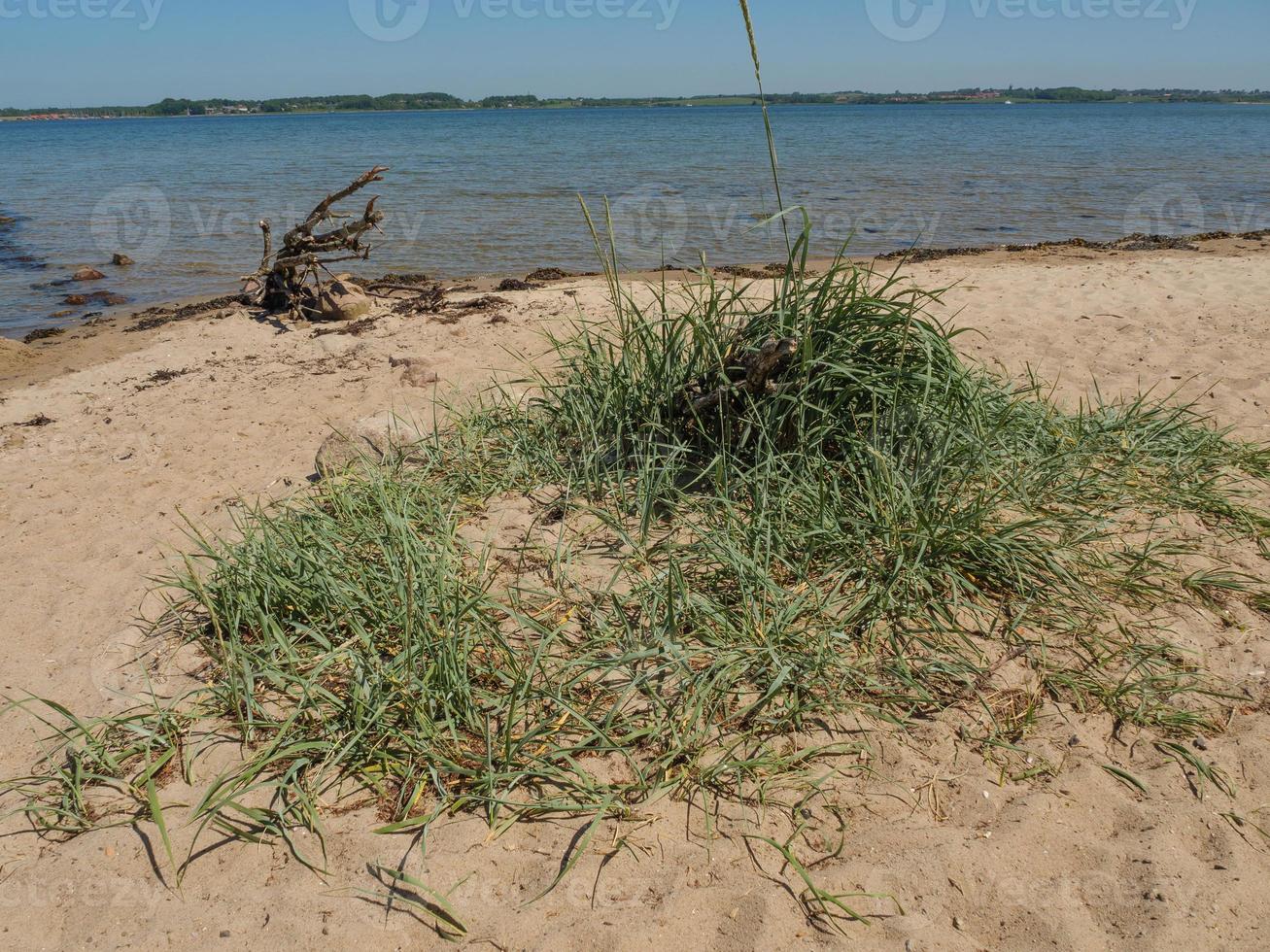 Östersjön nära flensburg i tyskland foto