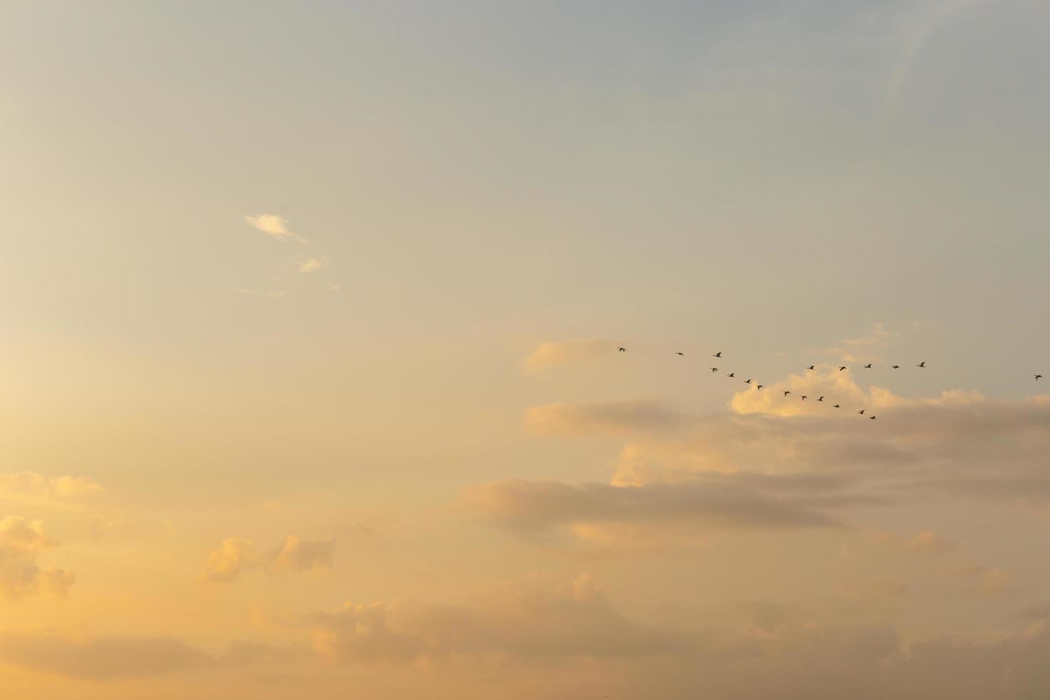 vacker soluppgång solnedgång himmel för bakgrund foto