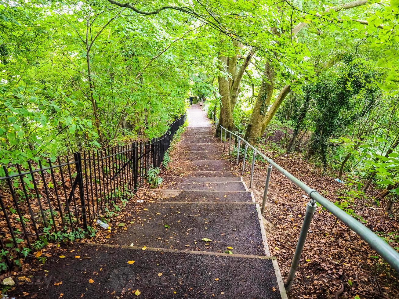 hdr trappa till alexandra park i bad foto