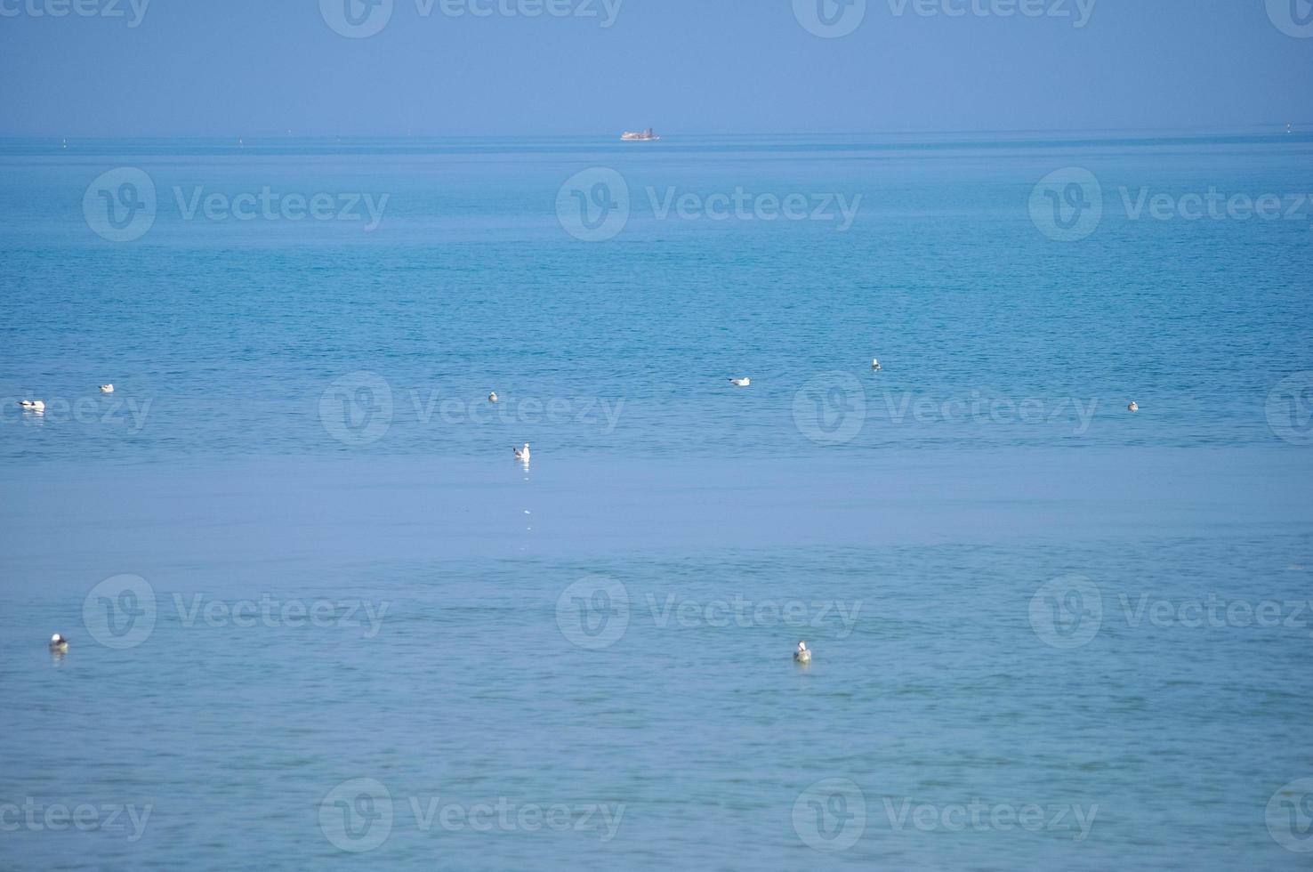 utsikt över havet foto