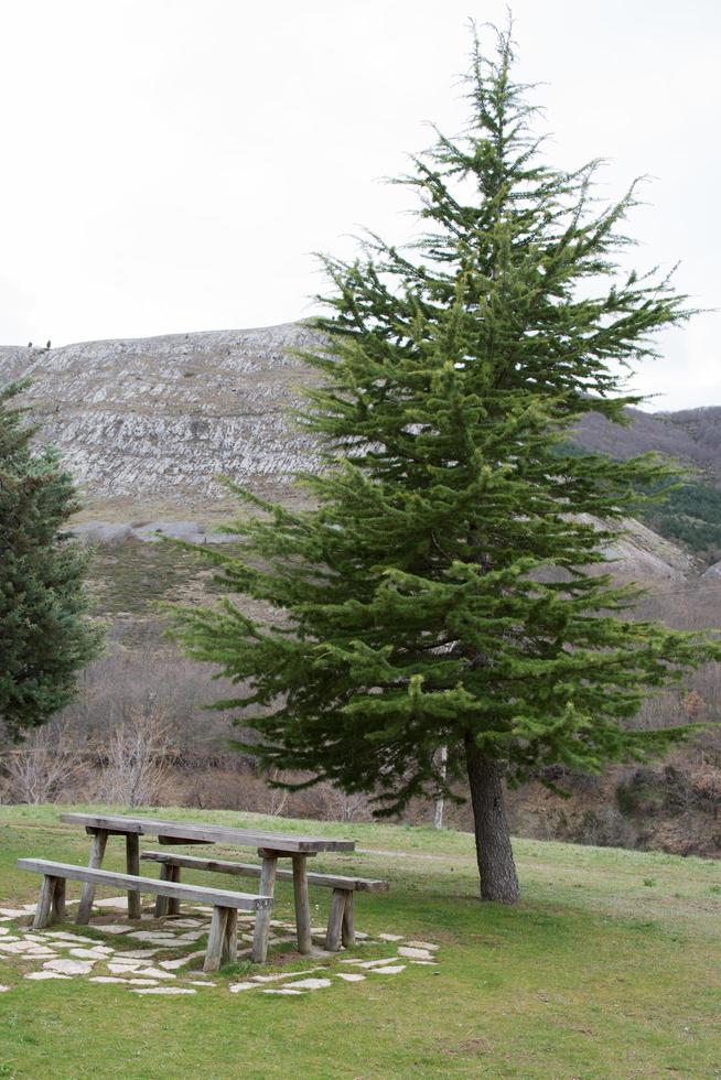 picknickområde i naturparken Babia och Luna, mellan Leon och Asturien. träbord. Spanien foto