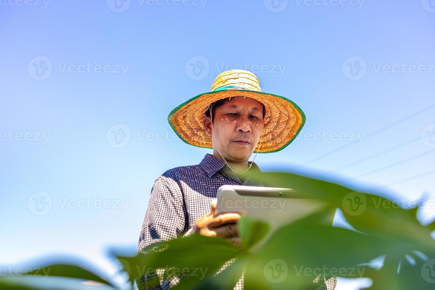 smart bonde en asiatisk man använder en surfplatta för att analysera grödorna han odlar på sin gård under dagen. foto