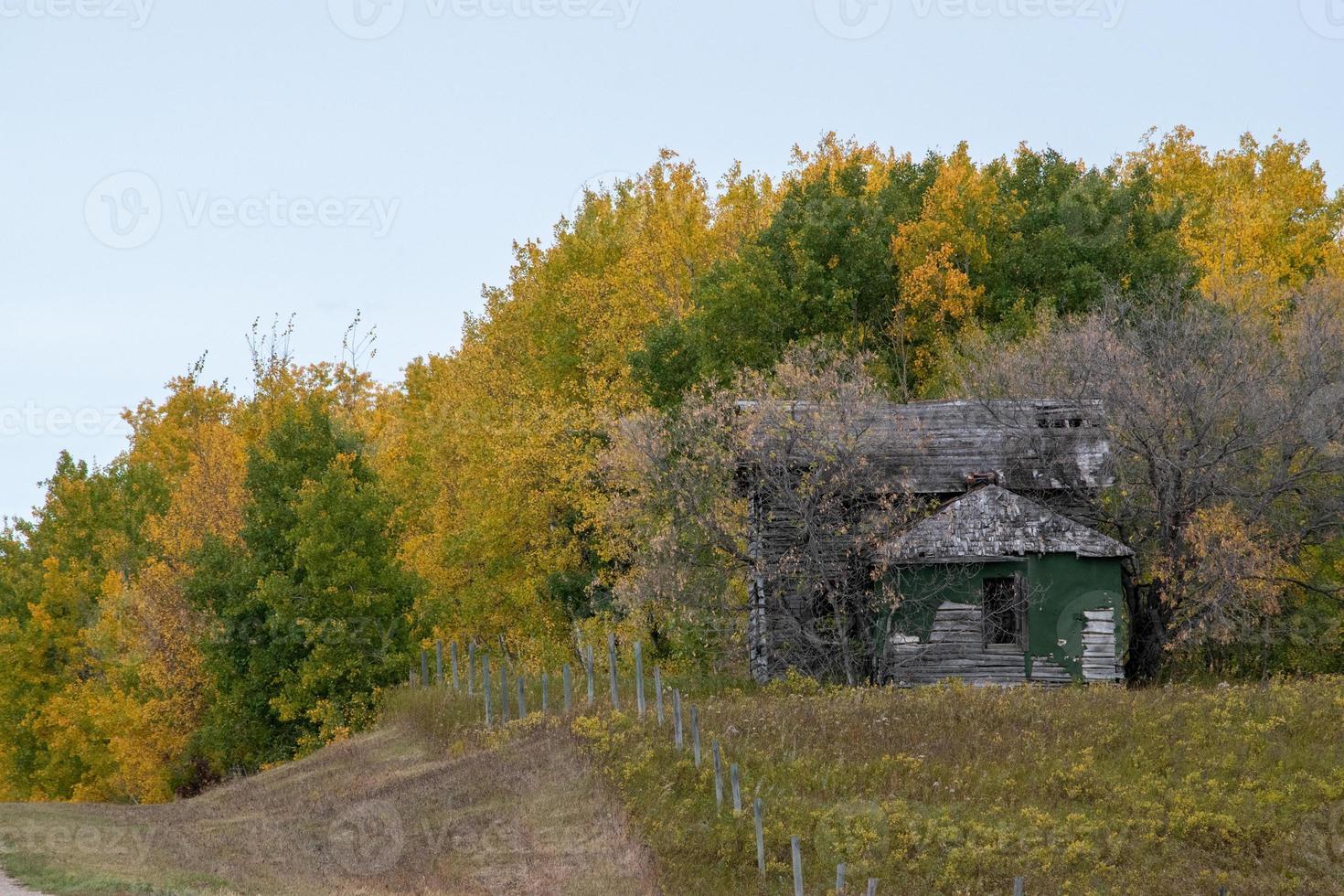 övergiven hembygdsgård från tidigt 1900-tal på de kanadensiska prärierna foto