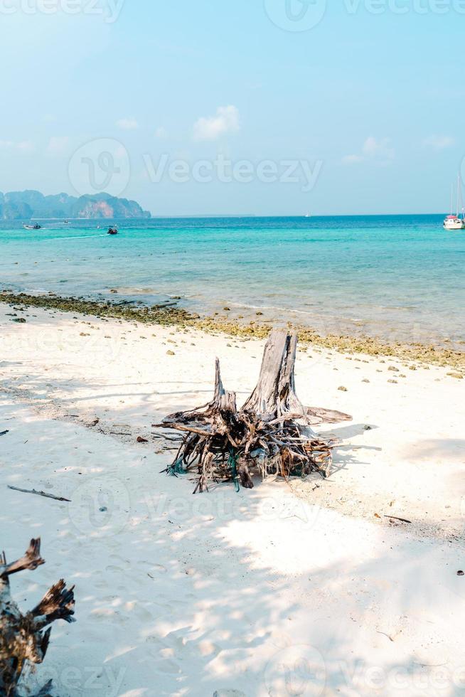 stranden på en tropisk ö på eftermiddagen foto