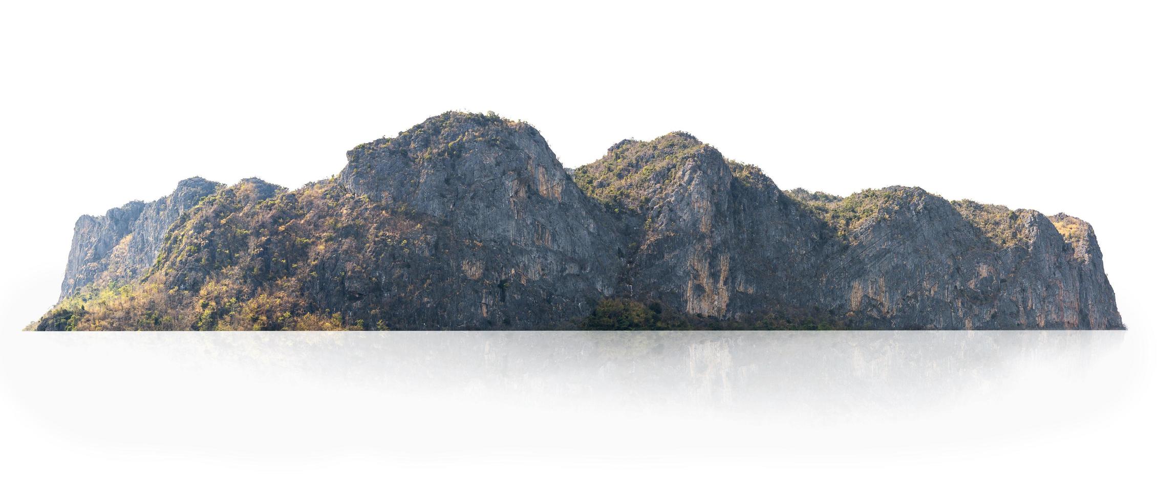 ock bergskull med grön skog isolera på vit bakgrund foto