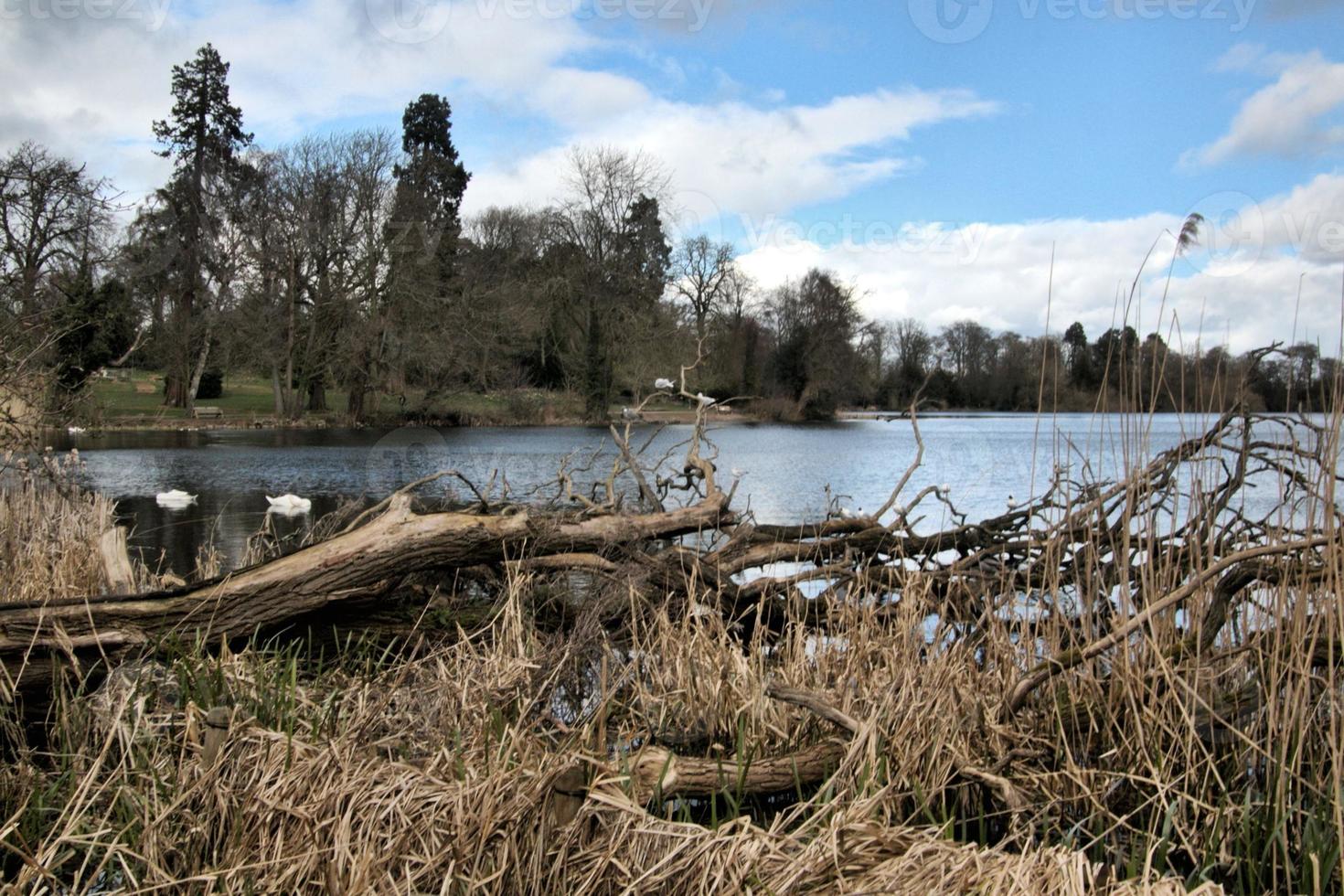 utsikt över ellesmere sjön foto