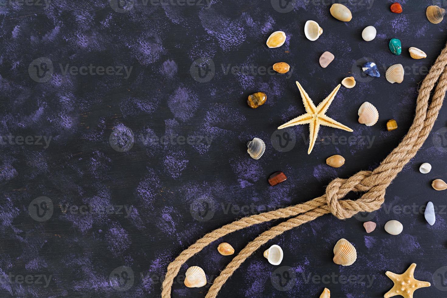 snäckskal, sjöstjärna och rep på mörk bakgrund. toppvy foto