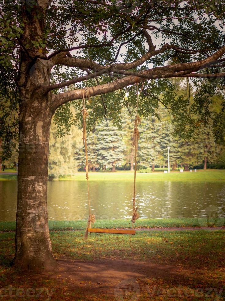 hemmagjord gunga från en bräda och ett rep på ett träd i en park eller trädgård, ingen, tomt utrymme, höstbakgrund foto